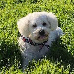 Meet your Posher, Heidi